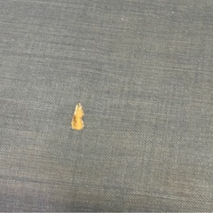 IKEA ソファーベッドあげます。※条件ありこめ※の画像