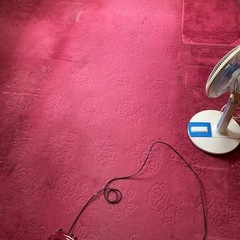 無料　カーペットの画像