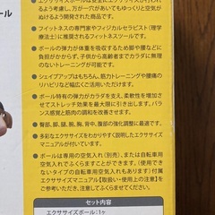 バランスボール（新品未使用）５５cmの画像