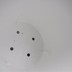 【Q】（白・プラスチック・大波）胡蝶蘭が入っていた鉢の画像