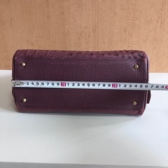 オーストリッチバッグの画像