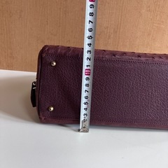 オーストリッチバッグの画像