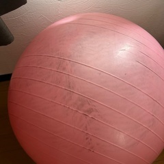 バランスボールの画像