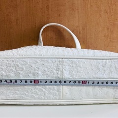 オーストリッチハンドバッグの画像
