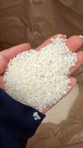 新米　コシヒカリ　お米　玄米　⑦