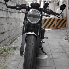 ハスクバーナ　ヴィットピレン401 2018年式
の画像