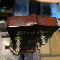 Morris ギターMV-701の画像