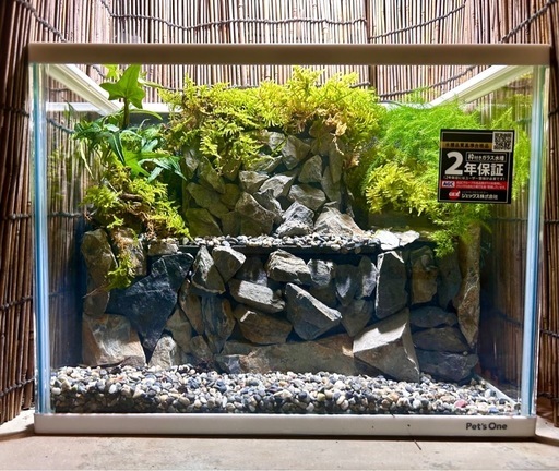 水の流れる滝テラリウム水槽　苔テラリウム