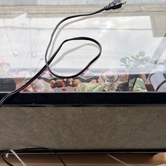 雛人形　オルゴールの画像