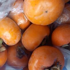 あまい柿(種あり)を交換希望です。買い取りOK