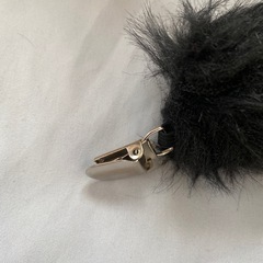 ネコ　仮装　ハロウィンの画像