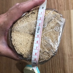 コナラ産卵木　太目　の画像