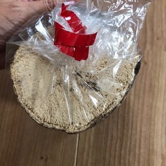 コナラ産卵木　太目　の画像