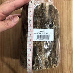 コナラ産卵木　太目　の画像