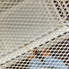 【無料・11/17まで】IKEAバスルームワゴンの画像