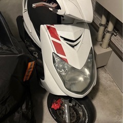 シグナス  2型の画像