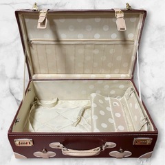 キャリーバックの画像