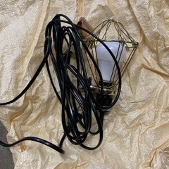 アイリスオーヤマの電気の画像