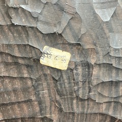 M2511-192 バリ島 木彫り サラスワティ風 アジアンインテリア キズ汚れ有りの画像