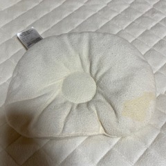 ファルスコンパクトベッドの画像