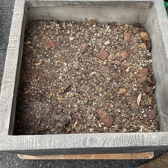 石の花壇　重いですの画像