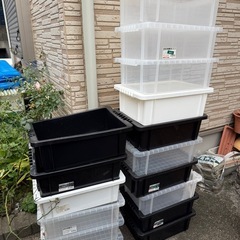 (受け渡しする方決定しました）トロ舟1つとタライ1つとコンテナボックス16個 メダカなどにの画像