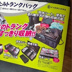 折りたたみトランクバッグ の画像