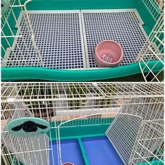 うさぎ用ゲージ０円　プラすのこ・キャスター付きの画像