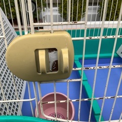 うさぎ用ゲージ０円　プラすのこ・キャスター付きの画像