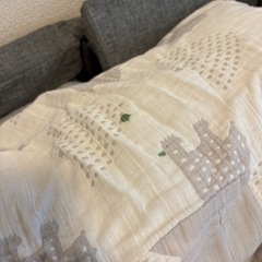 ファルスカ コンパクトベッド☺︎の画像