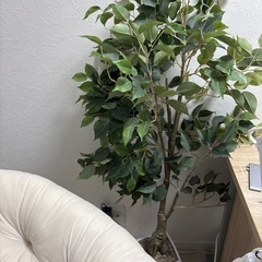 フェイクグリーン　観葉植物の画像