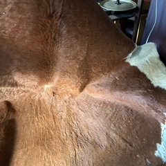 カウラグ ラグ　カウハイド　牛毛皮の画像