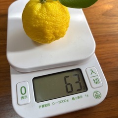 カリン  花柚子   唐辛子  の画像