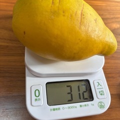 カリン  花柚子   唐辛子  の画像