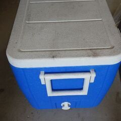 Coleman クーラーボックスの画像