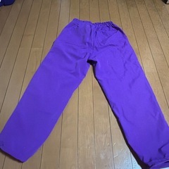 紫 カーゴパンツ　Sの画像