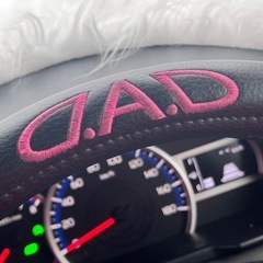 【中古品】DADハンドルカバーピンク色の画像