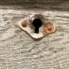 東海銀行旧本店型貯金箱（1950年代？　ヴィンテージ　レトロ　骨董　貴重）の画像