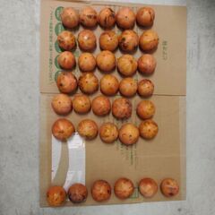 甘柿　30個の画像