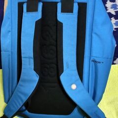 🟦 MAMMUT リュックの画像