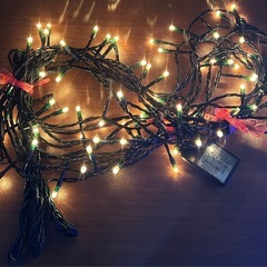 イルミネーションライトセットLの画像