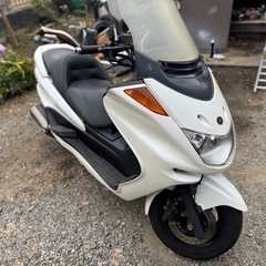 マジェスティ Cの画像