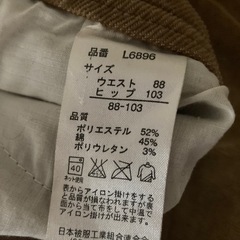 冬用スカート、ショートパンツ（４L-５L）の画像