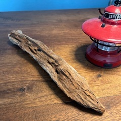 20 平たくて穴がポイント　流木、天然物、インテリア、オブジェの画像