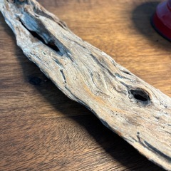 20 平たくて穴がポイント　流木、天然物、インテリア、オブジェの画像