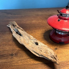 20 平たくて穴がポイント　流木、天然物、インテリア、オブジェの画像