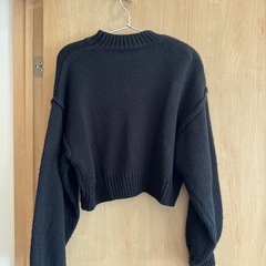 丈短ニット(ブラック)の画像