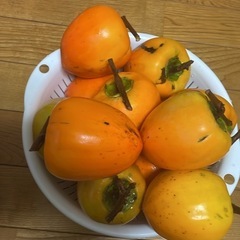 蜂屋柿（はちやがき）大きめサイズ　購入希望（花巻・大迫近く）