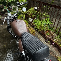 st250e 
2004年式の画像