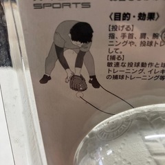 ロ2511-317 投げる捕るが1人で出来る　セルフトレーニングボール　お散歩不可の画像